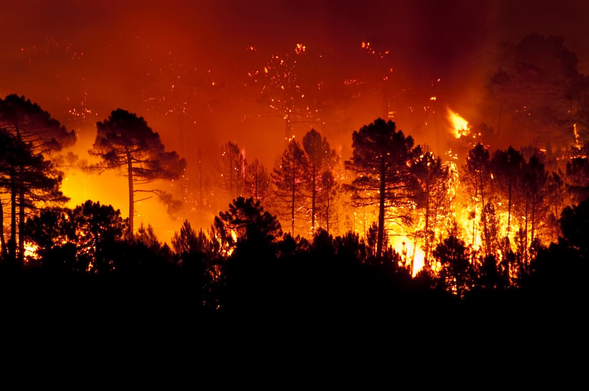 Extreme Weather: Wildfires | Get to Learnin' with Our Knowledge Center -  Energy Texas