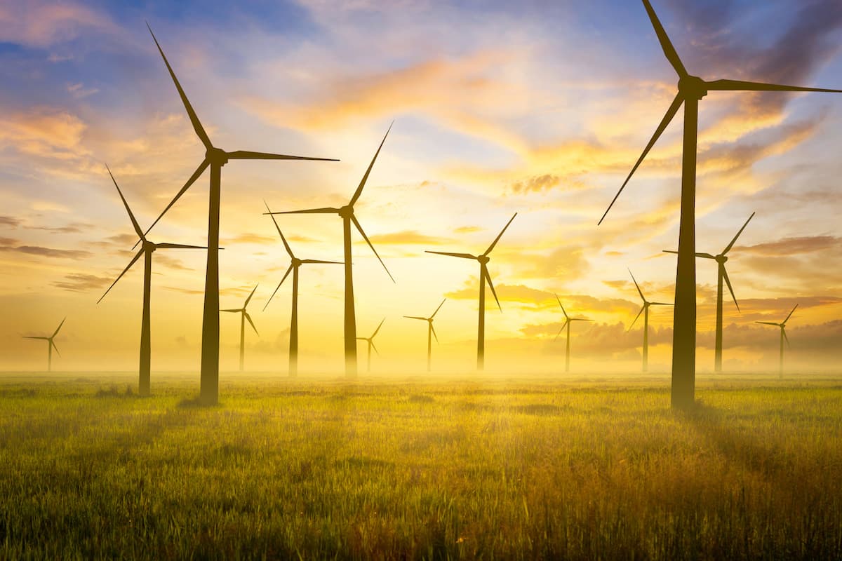 Riding the Texas Wind: How Wind Farms Are Powering the Lone Star State ...