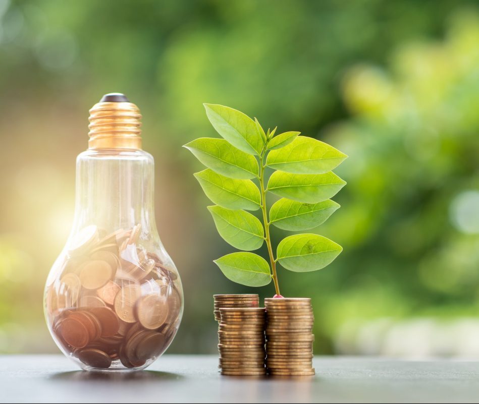 Energy saving. stacks of coins in light bulb and tree growing