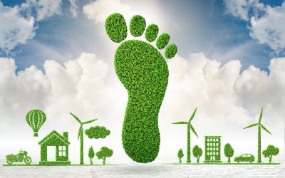 How to Calculate Your Carbon Footprint
