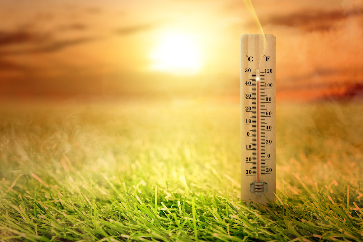 Thermometer with high temperature on the meadow with glowing sun background