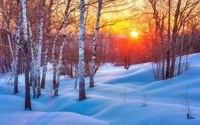 The Facts and Myths of Winter Solstice